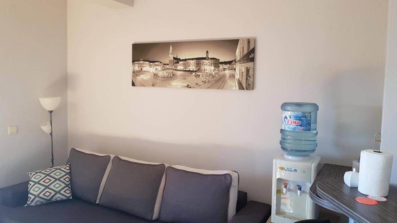 Apartment Viktor,Parking Ösek Dış mekan fotoğraf